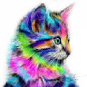 Meet your Posher, Ben